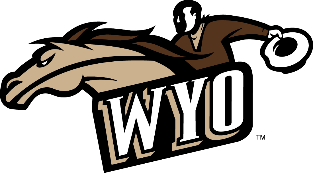 Wyoming Cowboys 1997-2006 Alternate Logo DIY iron on transfer (heat transfer)